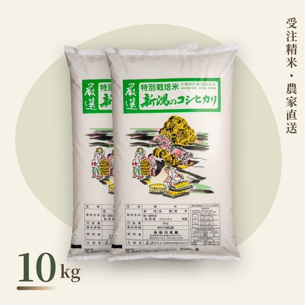 新潟コシヒカリ 特別栽培米 10kg(5kg袋×2)|農家直送・受注精米|長谷川米穀