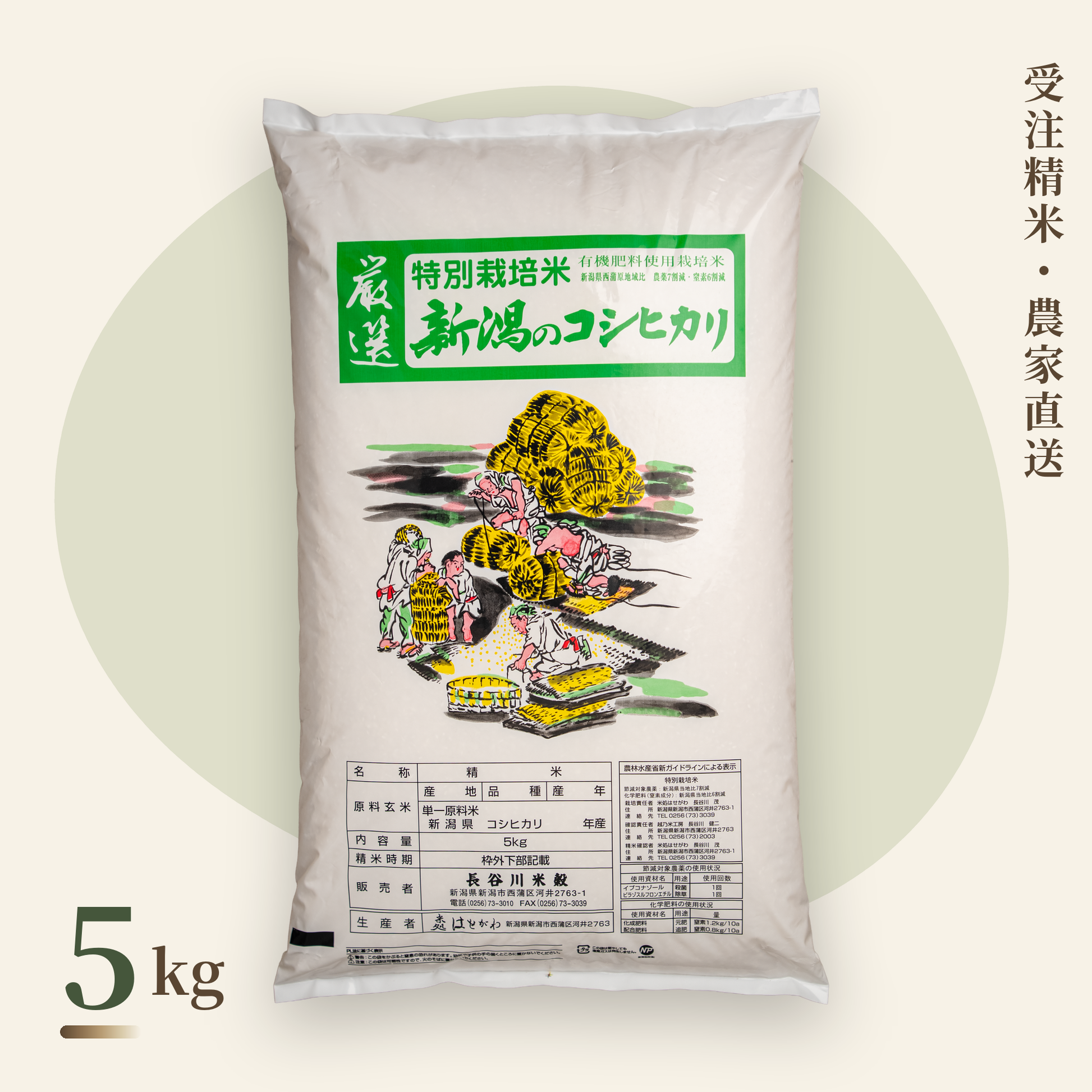 新潟コシヒカリ 特別栽培米 5kg｜農家直送・受注精米｜長谷川米穀